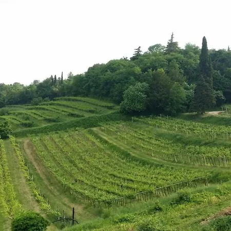 Le Coste Lavagno